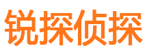 雅江侦探公司